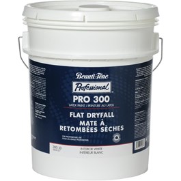 Pro 300 18.5L Series Paint